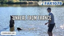 FAK1078-Unreal from France