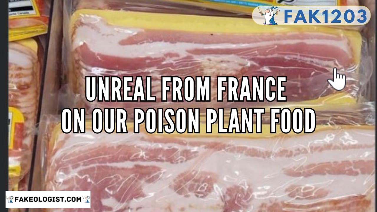 FAK1203-Unreal_from_France-Poison Food
