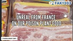 FAK1203-Unreal_from_France-Poison Food