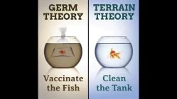 The Germ and Virus Theory - DR LORRAINE DAY