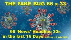 The Fake Bug - Sixty Six by 33s in 16 days