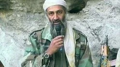 Osama & The Bin Ladens - 