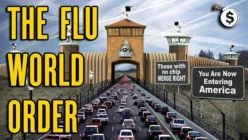 Demoncracy Ushers in the Flu World Order... How to Survive and Profit From What Is Coming