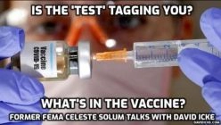 Former FEMA operative Celeste Solum talks with David Icke: - Vaccine & Mass-depopulation