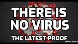 David Icke: There Is No Virus - The Latest Proof