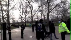 Zol Neveri - Clip 1/3  Anti Lockdown Protest - London  Hyde Park 2 January 2021  Man Arrested for hugging [with no complaints]...