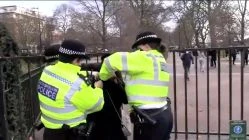 Zol Neveri - Clip2/3  Anti Lockdown Protest - London  Hyde Park 2 January 2021  A number of people have been arrested under health protection regulations and taken into custody.