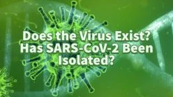 Does the Virus Exist? Has SARS-CoV-2 Been Isolated? - Interview with Christine Massey, M.Sc.