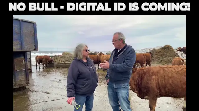 No Bull - Digital ID is Coming!