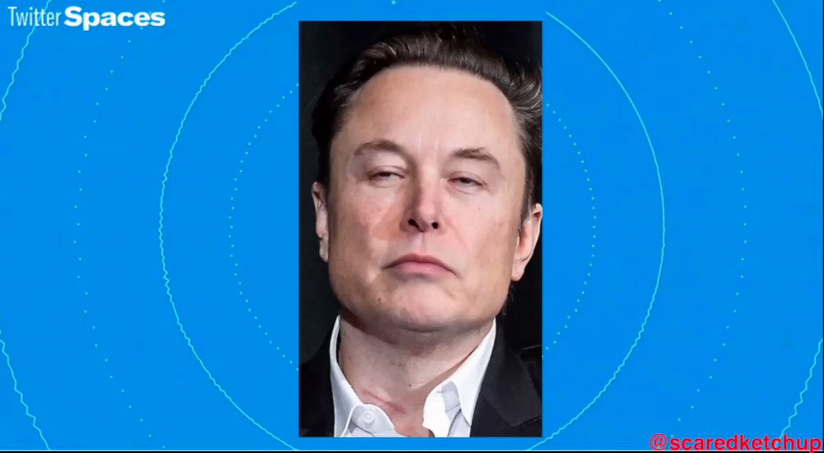Elon Musk and Ron DeSantis did a Twitter Spaces thing today that