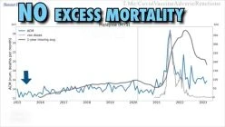 Excess deaths from vaccine