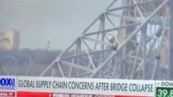 Footage of birds disappearing on Fox news coverage of the Baltimore Key Bridge collapse