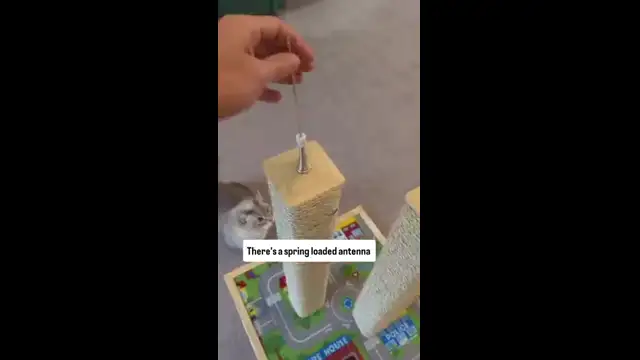 9/11 NEW YORK SCRATCHING POST