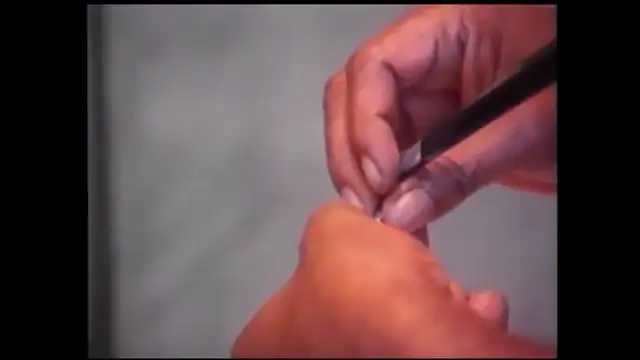 Ray Charles 60 minutes interview Ed Bradley