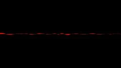 FAK071-Wally Dove