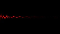 FAK1009-Lynn Ertell-Trump is back