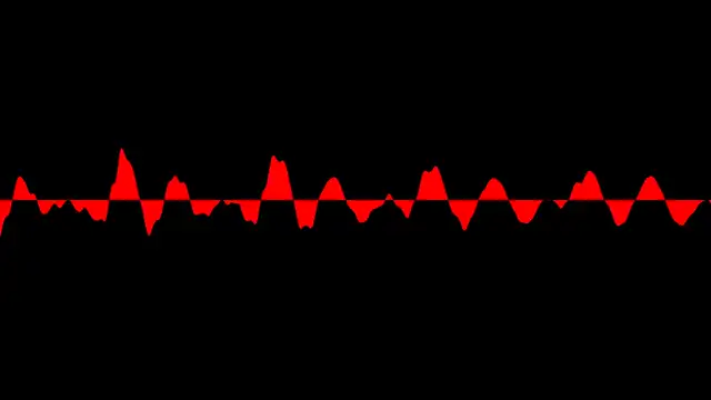 FAK204-Simon and Hoi