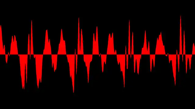 FAK250-Markus Allen and Walker