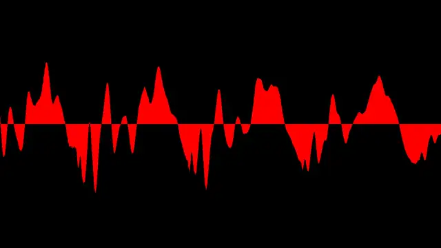 FAK481-King and Lich denied bail