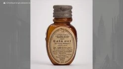 What If Smallpox Was a Mild Disease?
